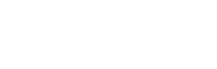 Logo Eddynet Inc.