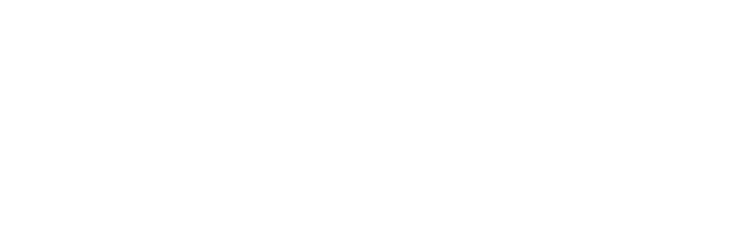 Logo Eddynet Inc.