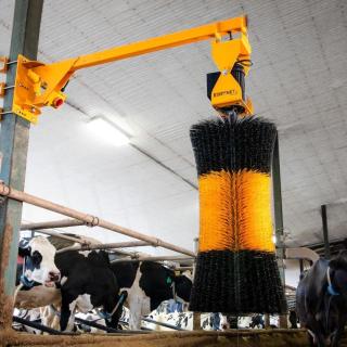 Brosse à vaches